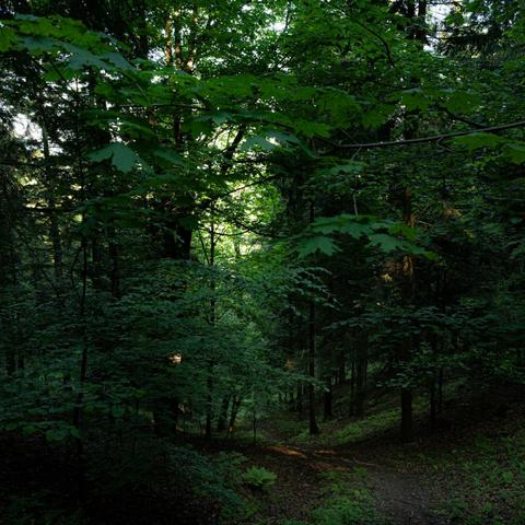 Linger