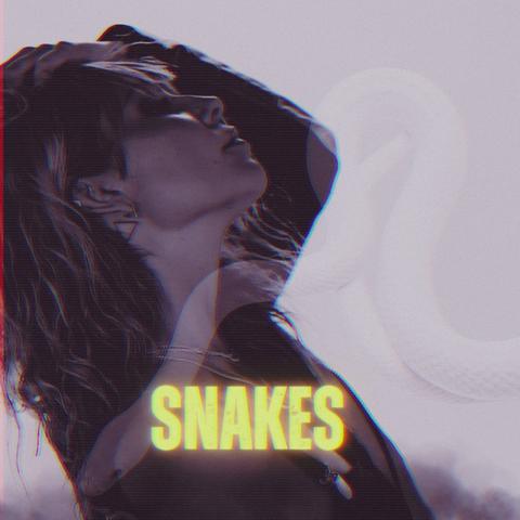 SNAKES封面