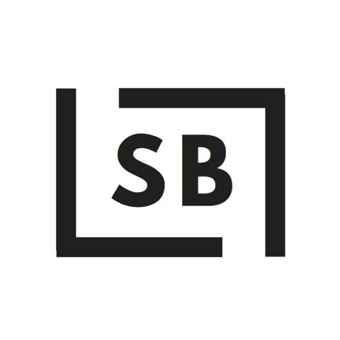 steveBee