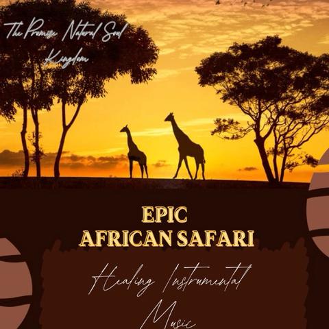 Epic African Safari Healing Instru封面