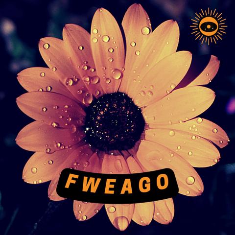 LEATS- Fweago