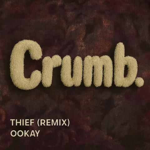 thief (remix)封面