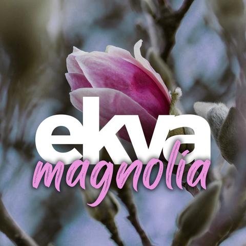 Magnolia