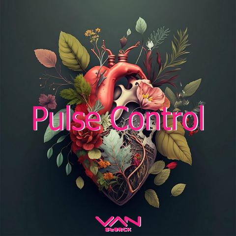 Pulse Control封面