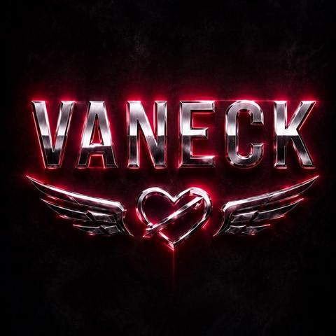 GLORIA & ESTEFAN - CONGA  (SHAKE YOUR BODY) ( VANECK EDIT)封面