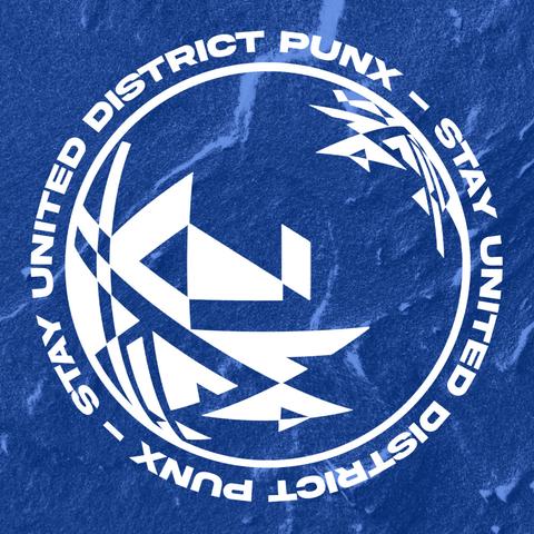 District Punx - Stay United Forever封面