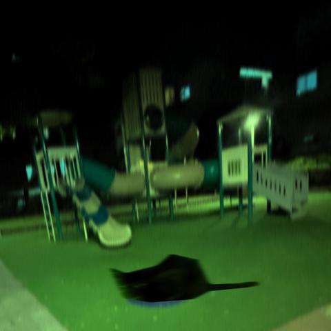 No Such Thing封面
