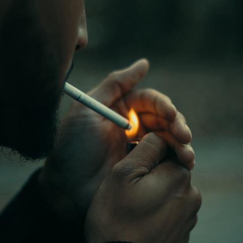 La La Smoking V1 x WZRD