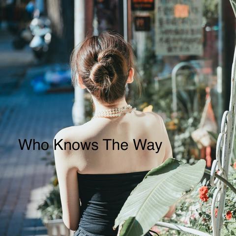 Who Knows The Way K. 2封面